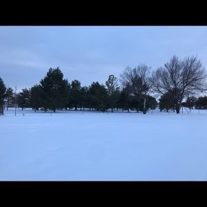 Meet your Posher, Dena